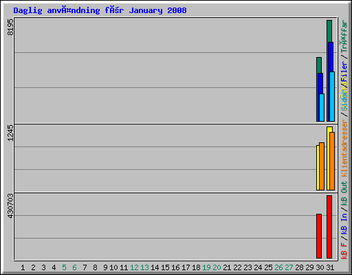 Daglig användning för January 2008
