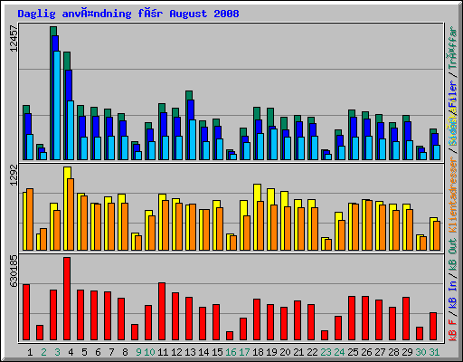 Daglig användning för August 2008