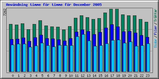 Anv�ndning timme f�r timme f�r December 2005
