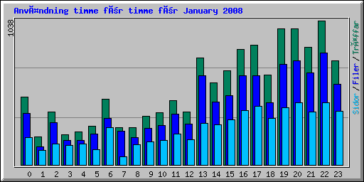 Användning timme för timme för January 2008