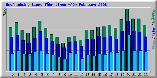 Användning timme för timme för February 2008