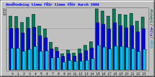 Användning timme för timme för March 2008