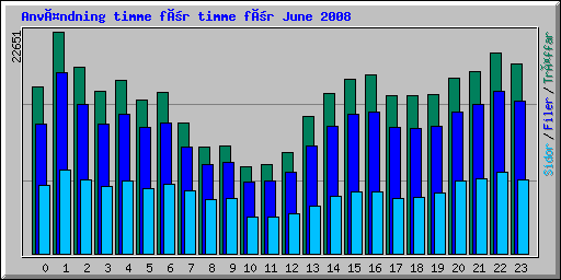 Användning timme för timme för June 2008