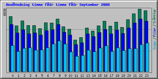 Användning timme för timme för September 2008