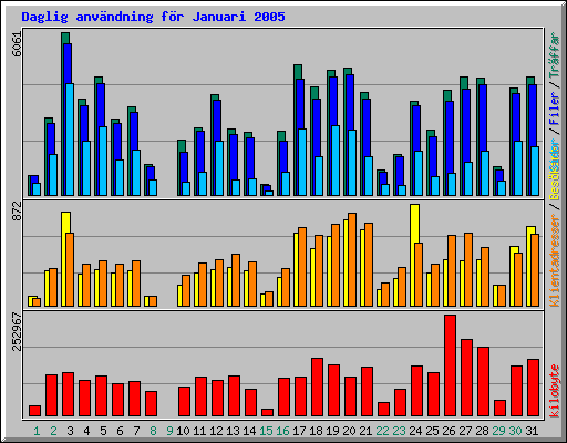 Daglig anv�ndning f�r Januari 2005