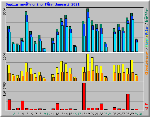 Daglig användning för Januari 2021