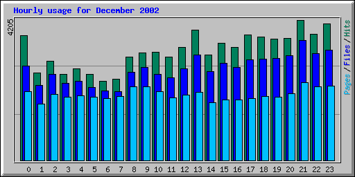 Hourly usage for December 2002