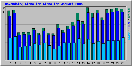 Anv�ndning timme f�r timme f�r Januari 2005