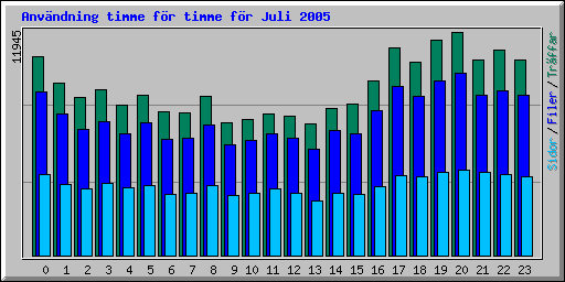 Anv�ndning timme f�r timme f�r Juli 2005