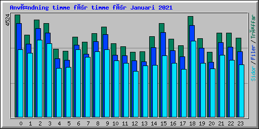 Användning timme för timme för Januari 2021