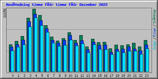 Användning timme för timme för December 2022