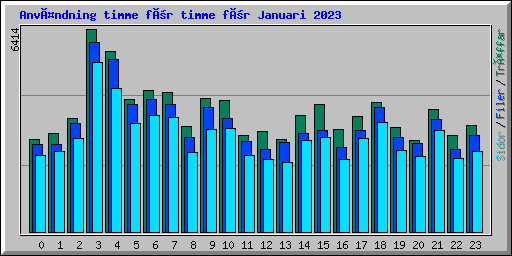 Användning timme för timme för Januari 2023