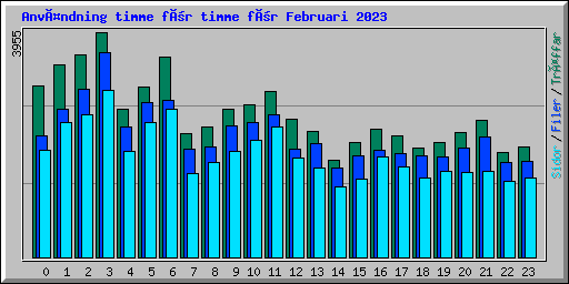 Användning timme för timme för Februari 2023