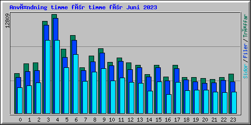 Användning timme för timme för Juni 2023