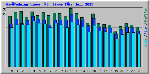 Användning timme för timme för Juli 2023